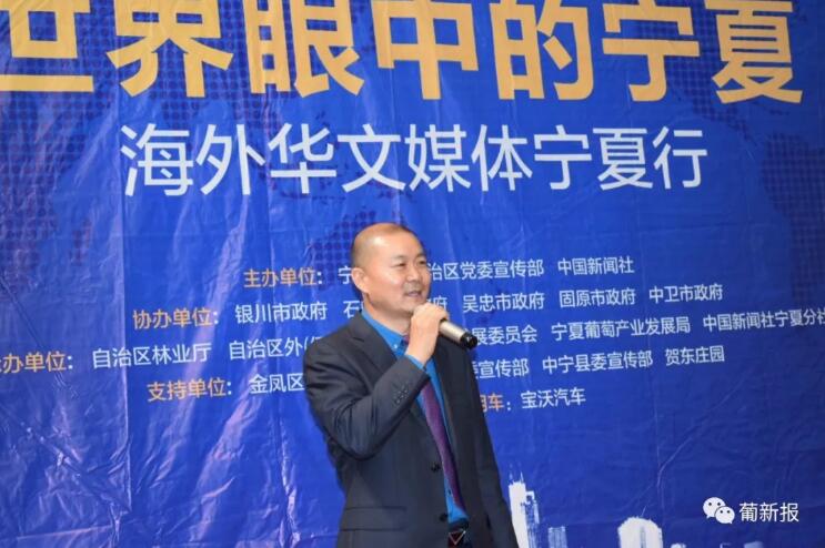 白露,紫色梦想,“伊人”太艳 白露,紫色梦想,“伊人”太艳